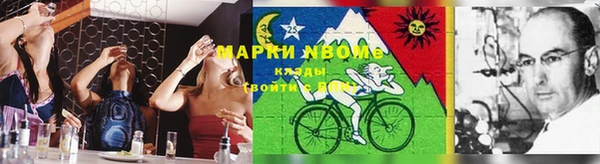 дмт Богданович