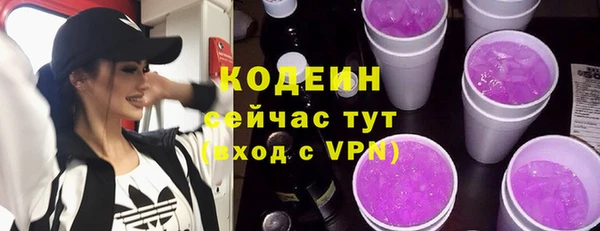 дмт Богданович