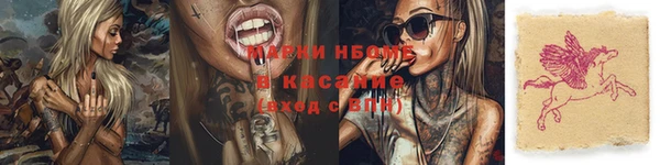 дмт Богданович