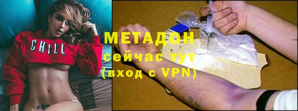 дмт Богданович