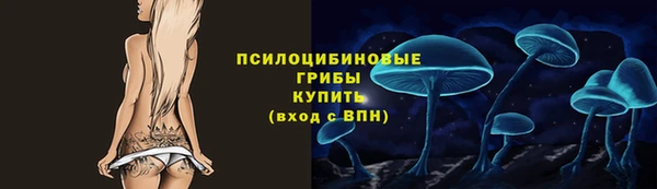 эйфоретик Богородицк