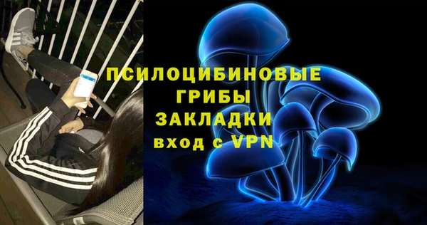 ПСИЛОЦИБИНОВЫЕ ГРИБЫ Богородск