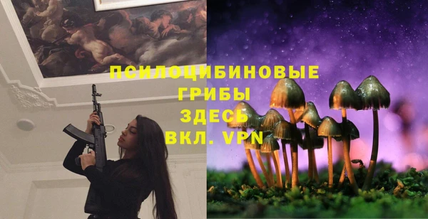 эйфоретик Богородицк