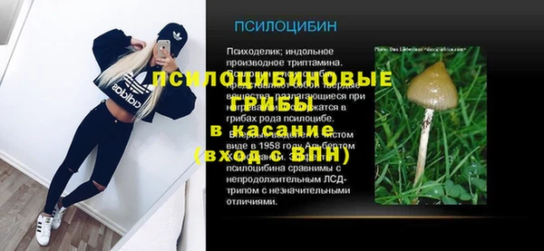 ПСИЛОЦИБИНОВЫЕ ГРИБЫ Богородск