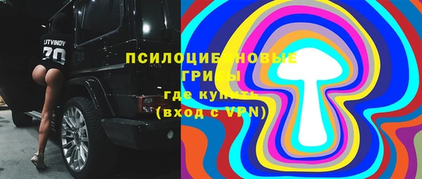 дмт Богданович