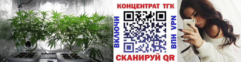 Купить закладки  Саров  Дистиллят ТГК вейп 